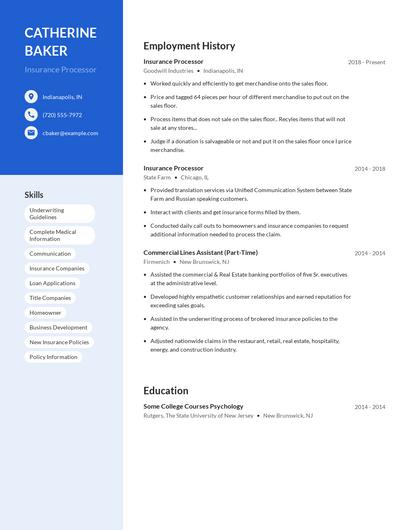 Insurance Processor Resume