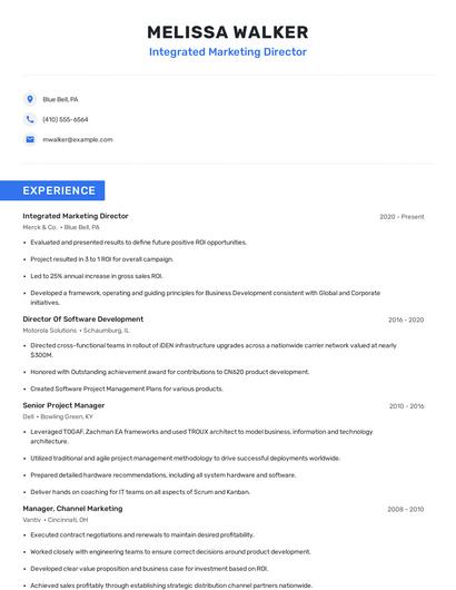 Integrated Marketing Director Resume
