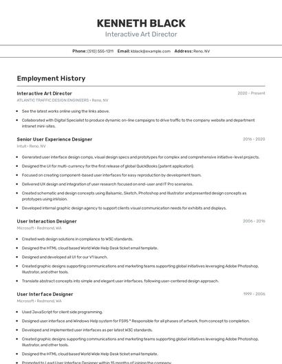 Interactive Art Director Resume