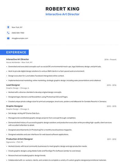 Interactive Art Director Resume