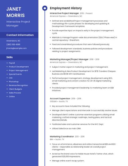 Interactive Project Manager Resume