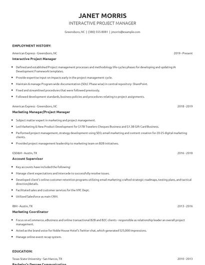 Interactive Project Manager Resume