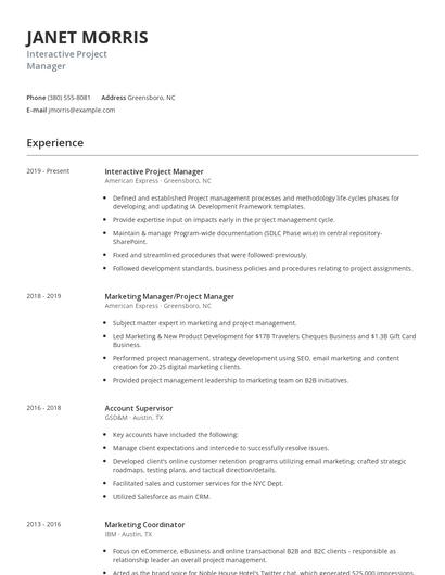 Interactive Project Manager Resume