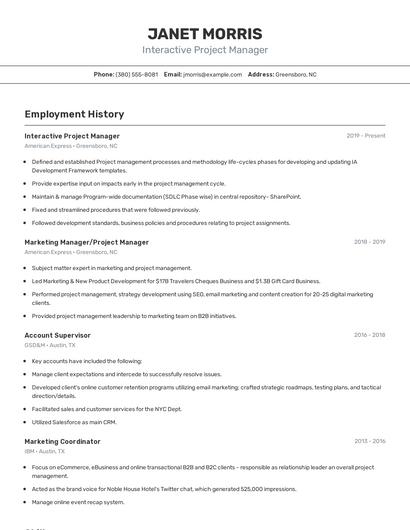 Interactive Project Manager Resume