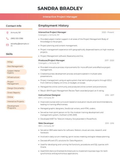Interactive Project Manager Resume