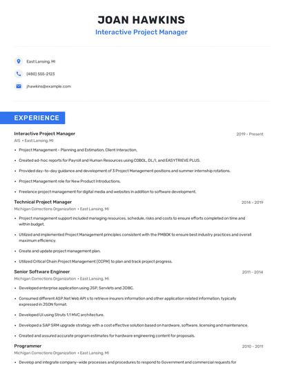Interactive Project Manager Resume