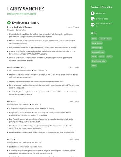 Interactive Project Manager Resume