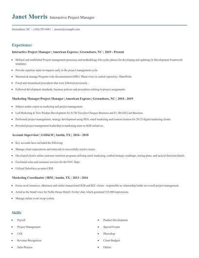 Interactive Project Manager Resume