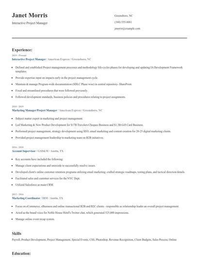 Interactive Project Manager Resume
