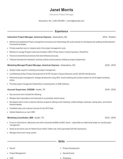 Interactive Project Manager Resume