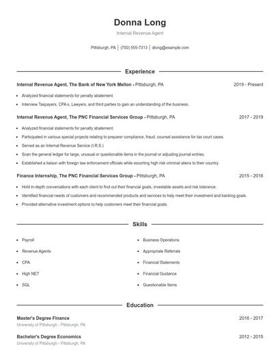 Internal Revenue Agent Resume