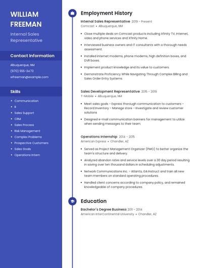 Internal Sales Representative Resume