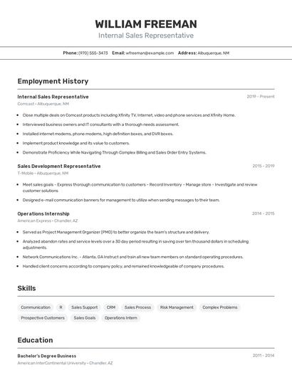 Internal Sales Representative Resume
