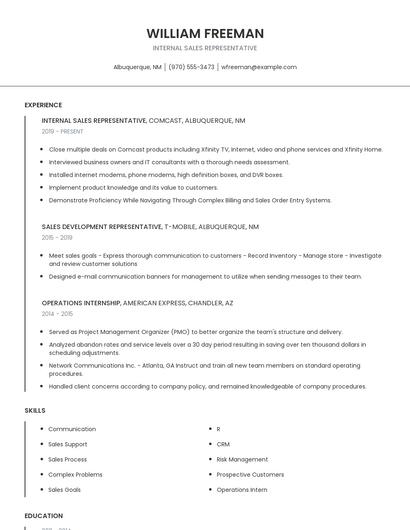 Internal Sales Representative Resume