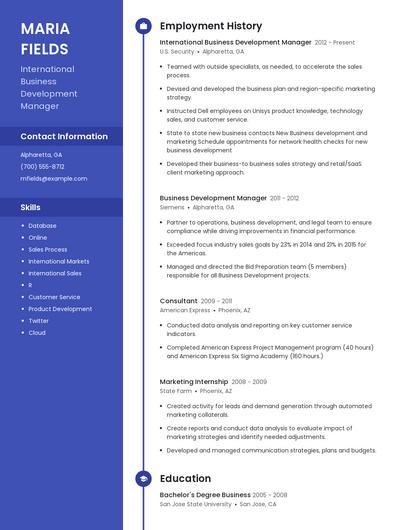 International Business Development Manager Resume