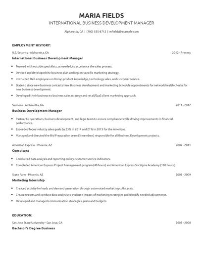 International Business Development Manager Resume