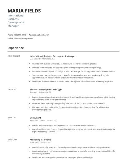 International Business Development Manager Resume