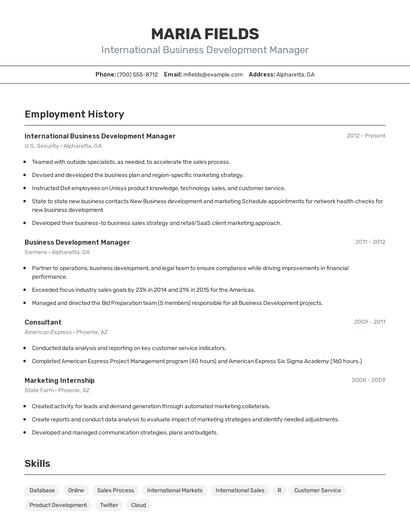 International Business Development Manager Resume