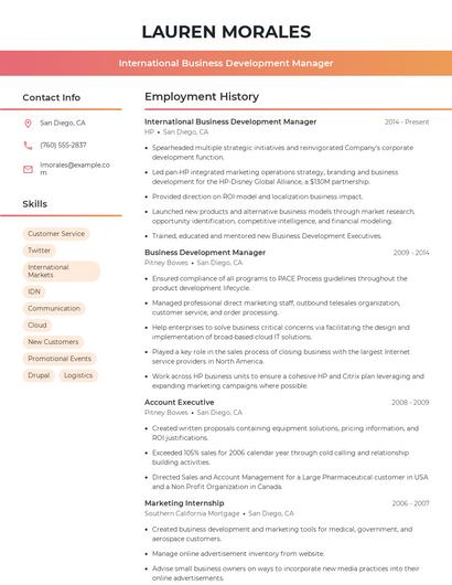 International Business Development Manager Resume