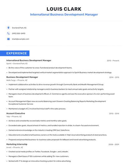 International Business Development Manager Resume
