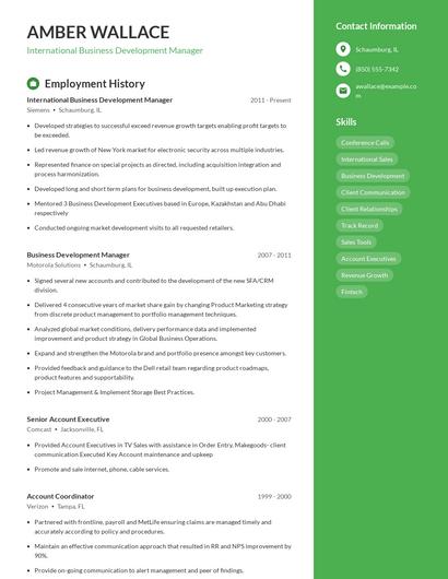 International Business Development Manager Resume