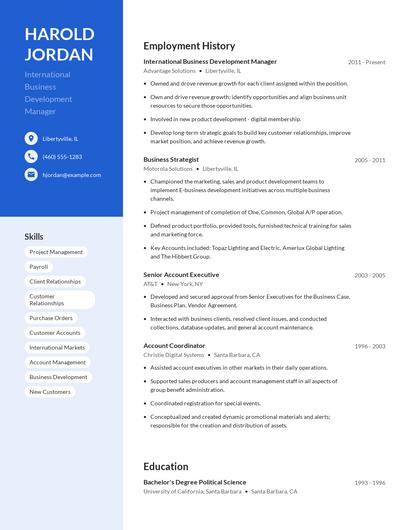 International Business Development Manager Resume