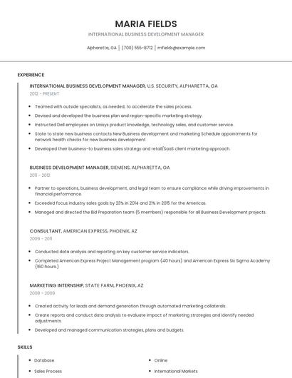 International Business Development Manager Resume