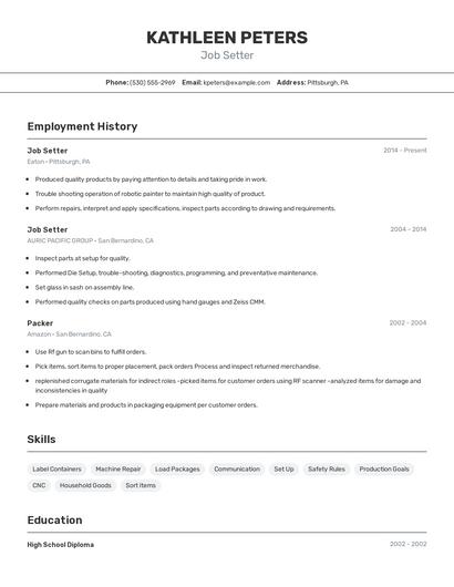 Job Setter Resume
