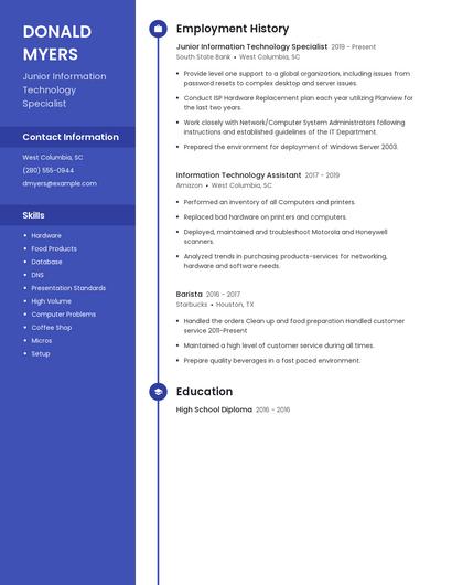 Junior Information Technology Specialist Resume