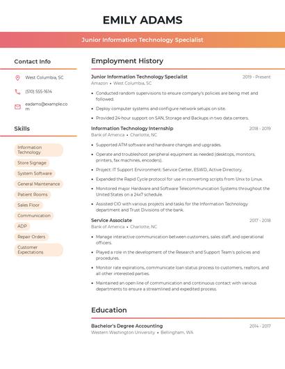 Junior Information Technology Specialist Resume