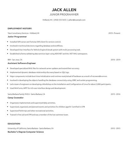 Junior Programmer Resume