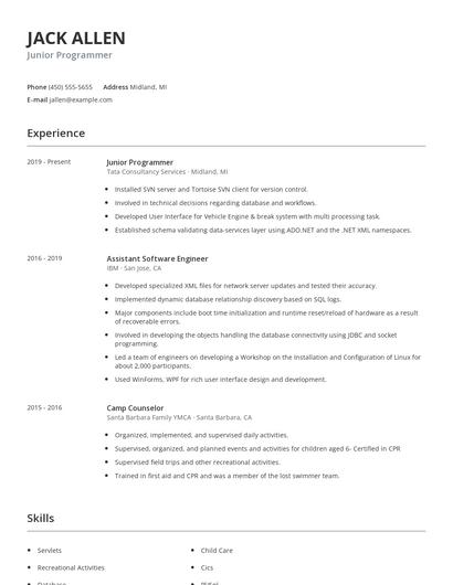 Junior Programmer Resume