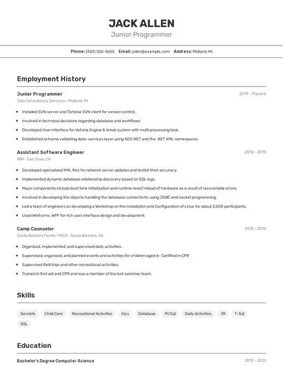 Junior Programmer Resume