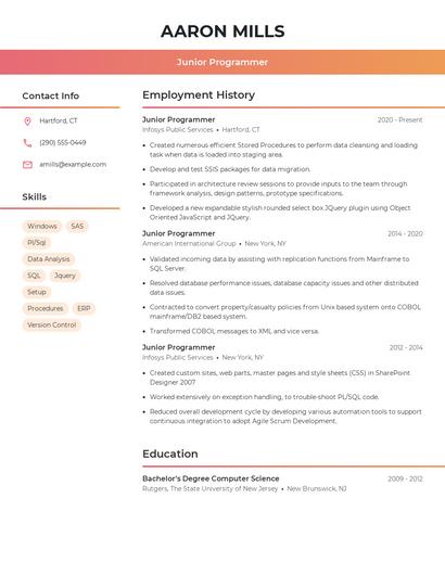 Junior Programmer Resume