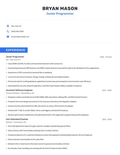 Junior Programmer Resume