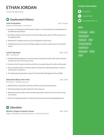 Junior Programmer Resume