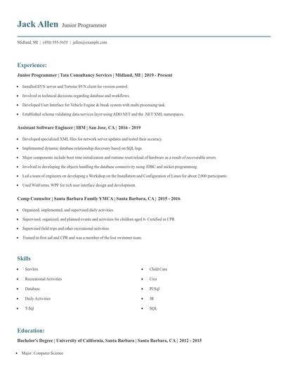 Junior Programmer Resume