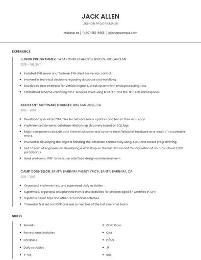 Junior Programmer Resume