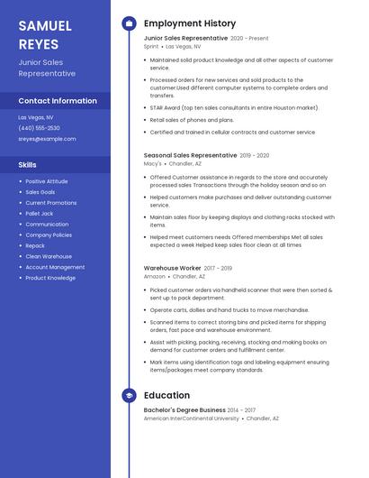 Junior Sales Representative Resume