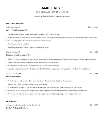 Junior Sales Representative Resume