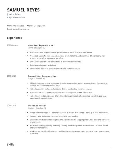 Junior Sales Representative Resume