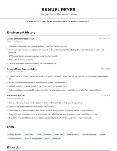 Junior Sales Representative Resume