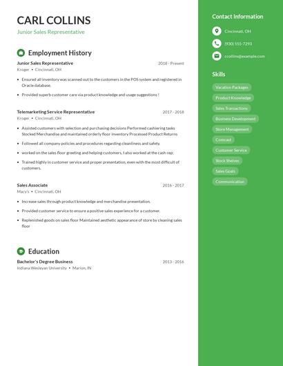 Junior Sales Representative Resume
