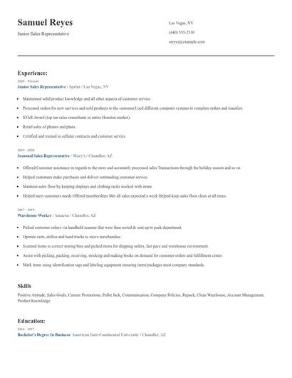 Junior Sales Representative Resume
