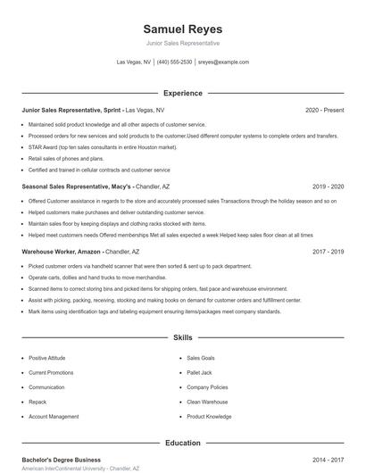 Junior Sales Representative Resume