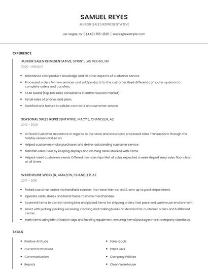 Junior Sales Representative Resume