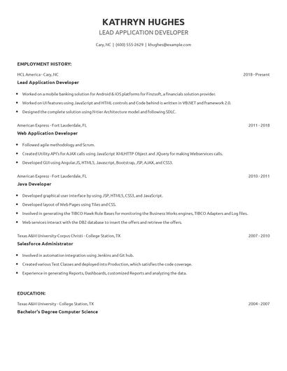 Lead Application Developer Resume