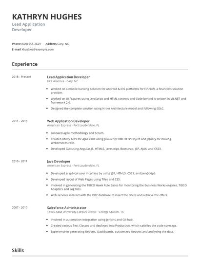 Lead Application Developer Resume