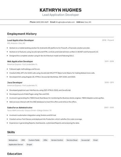 Lead Application Developer Resume