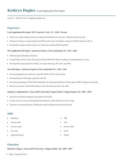 Lead Application Developer Resume